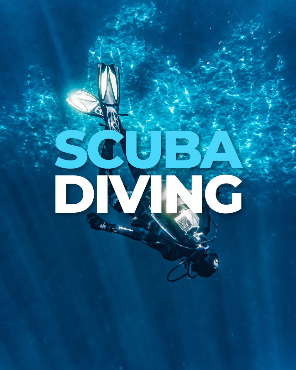 🤿 Scuba Diving Destination Stickers